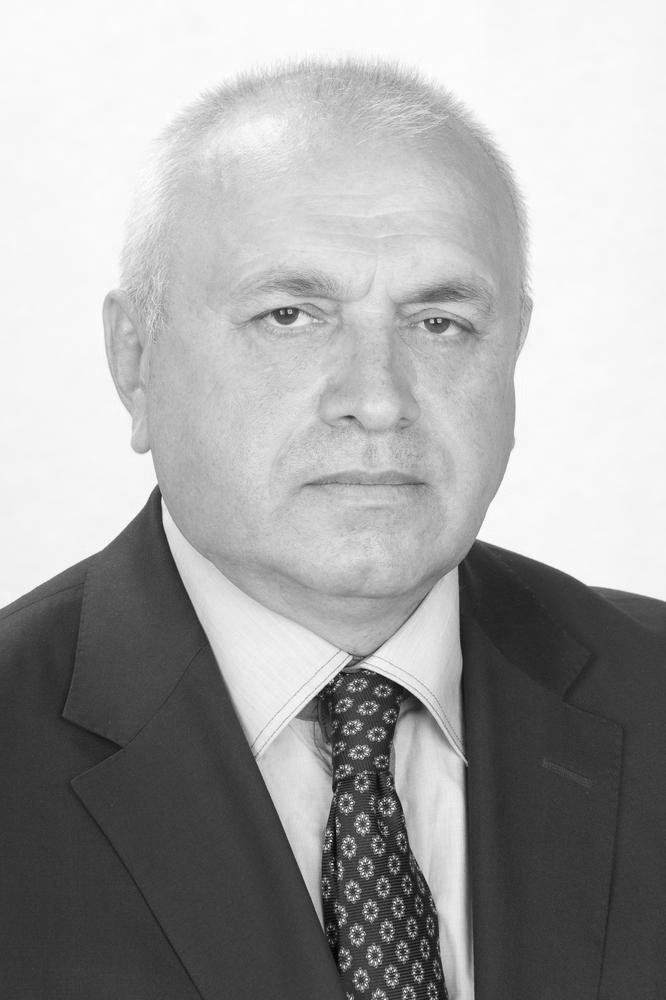 БАБАЄВ ВОЛОДИМИР МИКОЛАЙОВИЧ